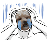860653326
