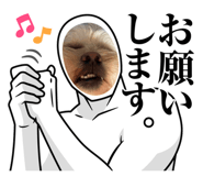 860653327