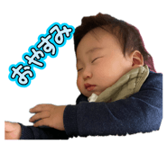 860653558
