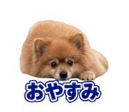 860653658
