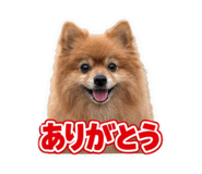 860653663