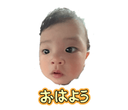860654548