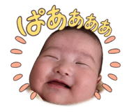 860654733