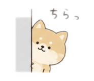 860654786