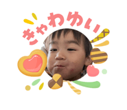 860655705