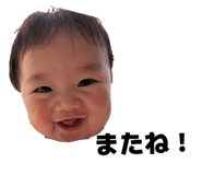 860655753