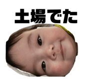 860655767