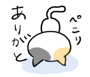 860655891