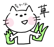 860655895