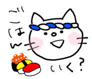 860655896