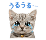 860656514