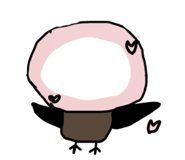 860657543