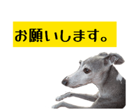 860657785
