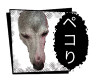 860657799