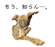 860657805