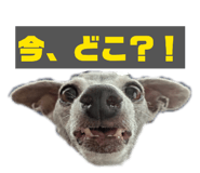 860657808