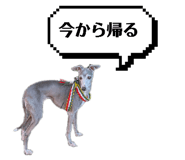 860657809