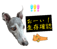 860657813