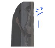 860657815