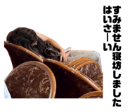 860658942