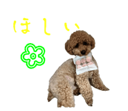 860659333