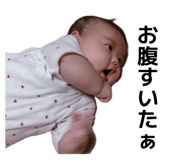 860660388