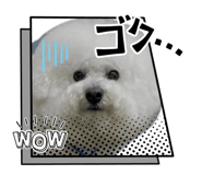 860661263
