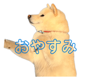 860661577