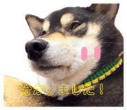 860661578