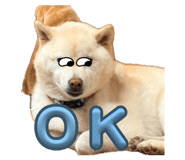 860661581