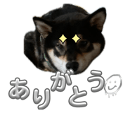 860661582