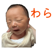 860662333