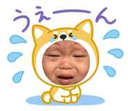 860664234