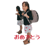 860664311