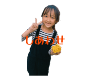 860664317