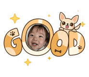 860664355