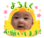 860664751
