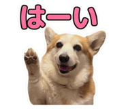 860664812
