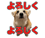 860664814
