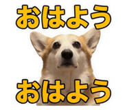 860664816
