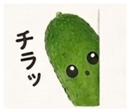 860737675