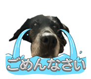 860751807