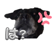 860751811
