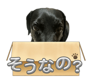 860751817