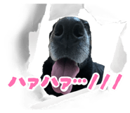 860751818
