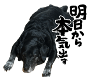 860751822