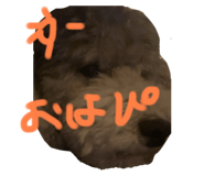 860767070
