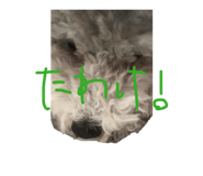 860767082