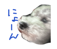 860767084