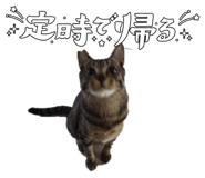 860767179